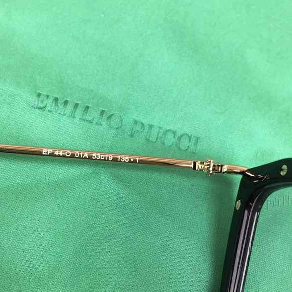 Emilio Pucci Shiny Black Gold Clear Sunglasses